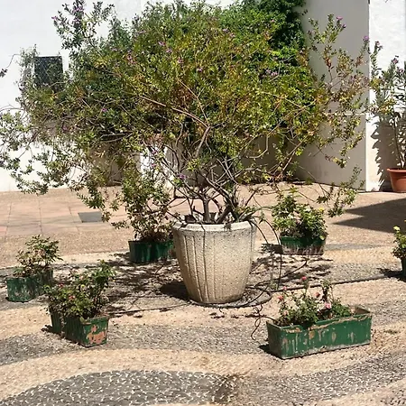 La Sacristia De San Pablo *