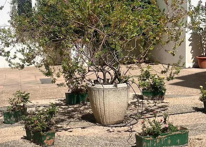 La Sacristia De San Pablo *